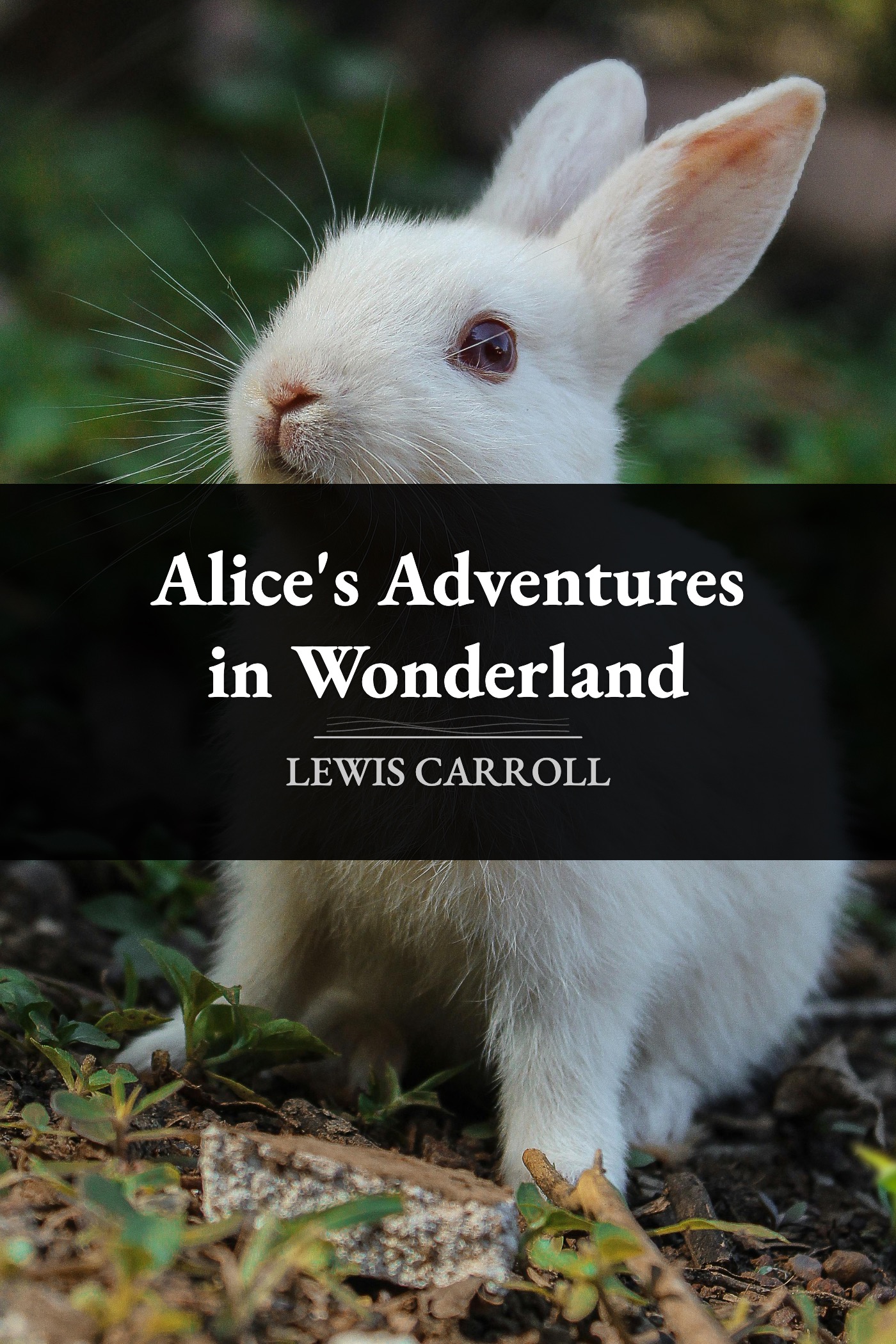 Alice's Adventures in Wonderland by Lewis Carroll