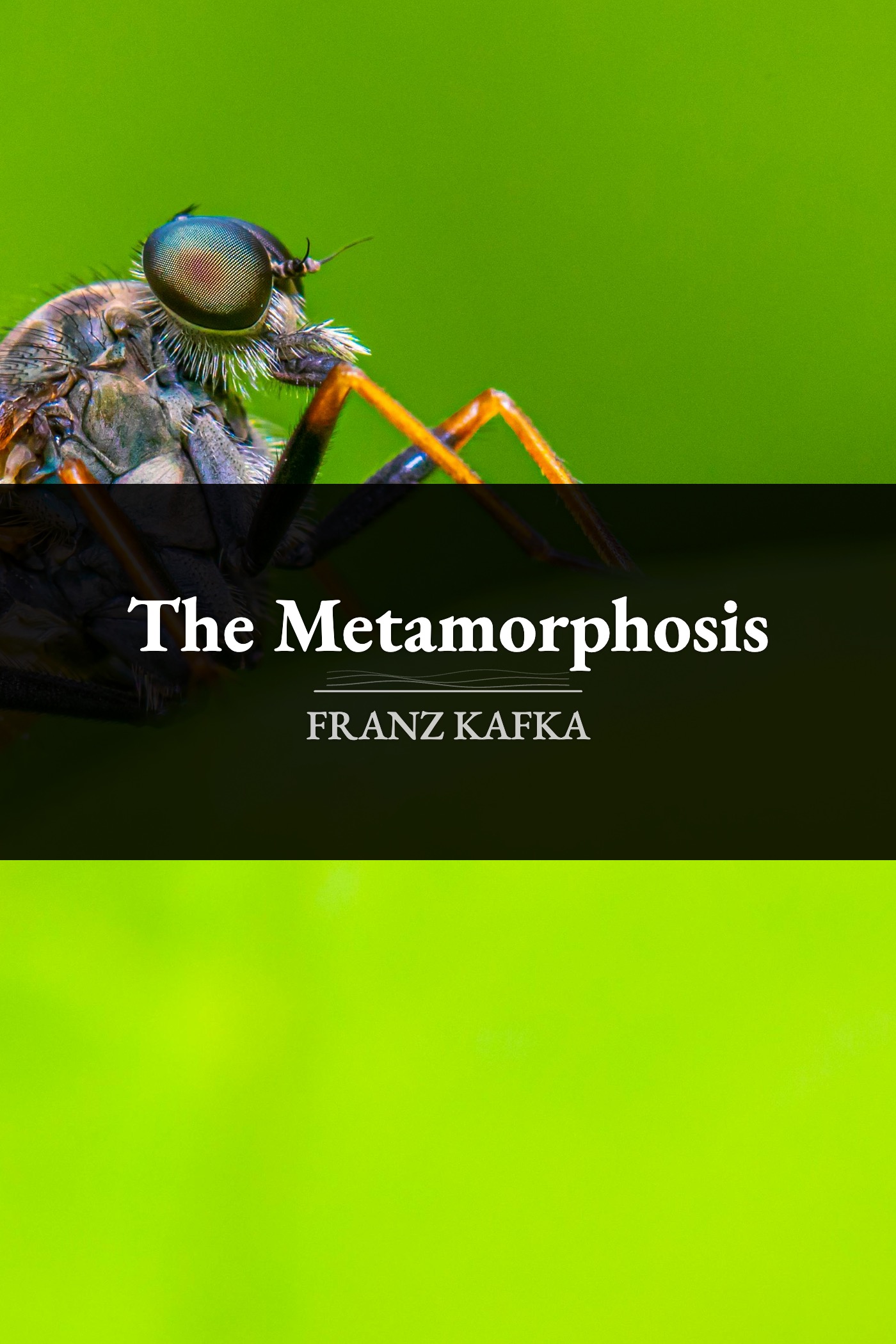 The Metamorphosis by Franz Kafka